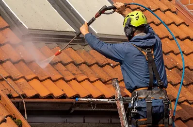 Démoussage et hydrofuge de toiture à Bellechassagne